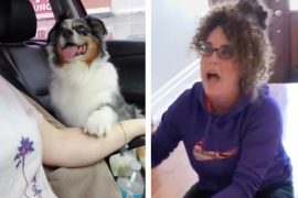 After five months, the woman was shocked to see the dog again