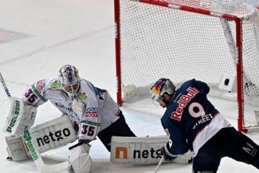 Ice hockey - Berlin - National keeper Niederberger moved from Berlin to Munich - sport