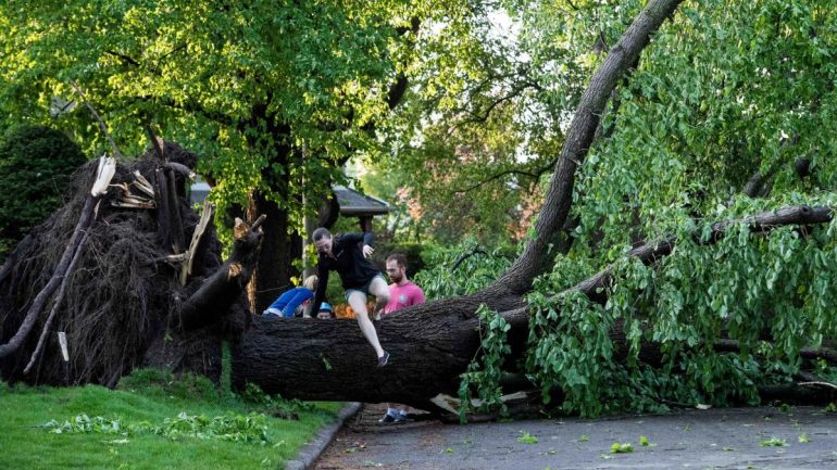 Weather: Storm claims five deaths in Canada