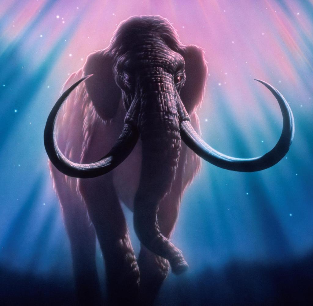 Huge.  Artwork of a mammoth (Mammathus sp.) at night under an auroral glow (pink) in the northern skies.  The mammoth was a large mammal adapted to the cold conditions of the Pleistocene ice age, about 2 million years ago.  It spread to North America, Europe and Asia.  Its teeth can be more than 3 meters long.  Closely related to the elephant, it is depicted in cave paintings being hunted by early humans.  The large mammoths became extinct about 10,000 years ago with the retreat of glaciers.  Human hunting is believed to have quickly put an end to it.  Aurorae are caused by charged particles from the Sun (moved to the poles by the Earth's magnetic field) hitting the atmosphere.