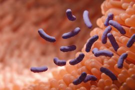 Post-COVID symptoms associated with altered intestinal flora - Treatment Practice