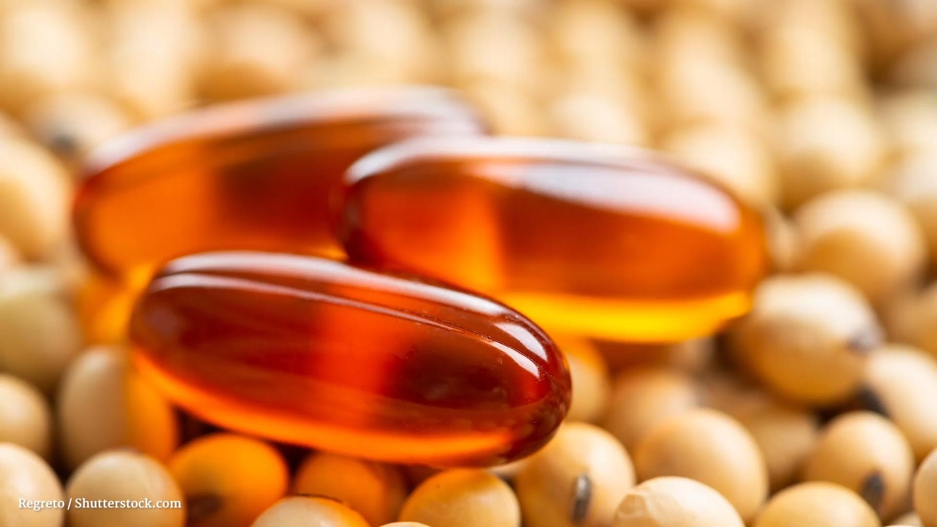 Lecithin - the fat that boosts metabolism Health Encyclopedia