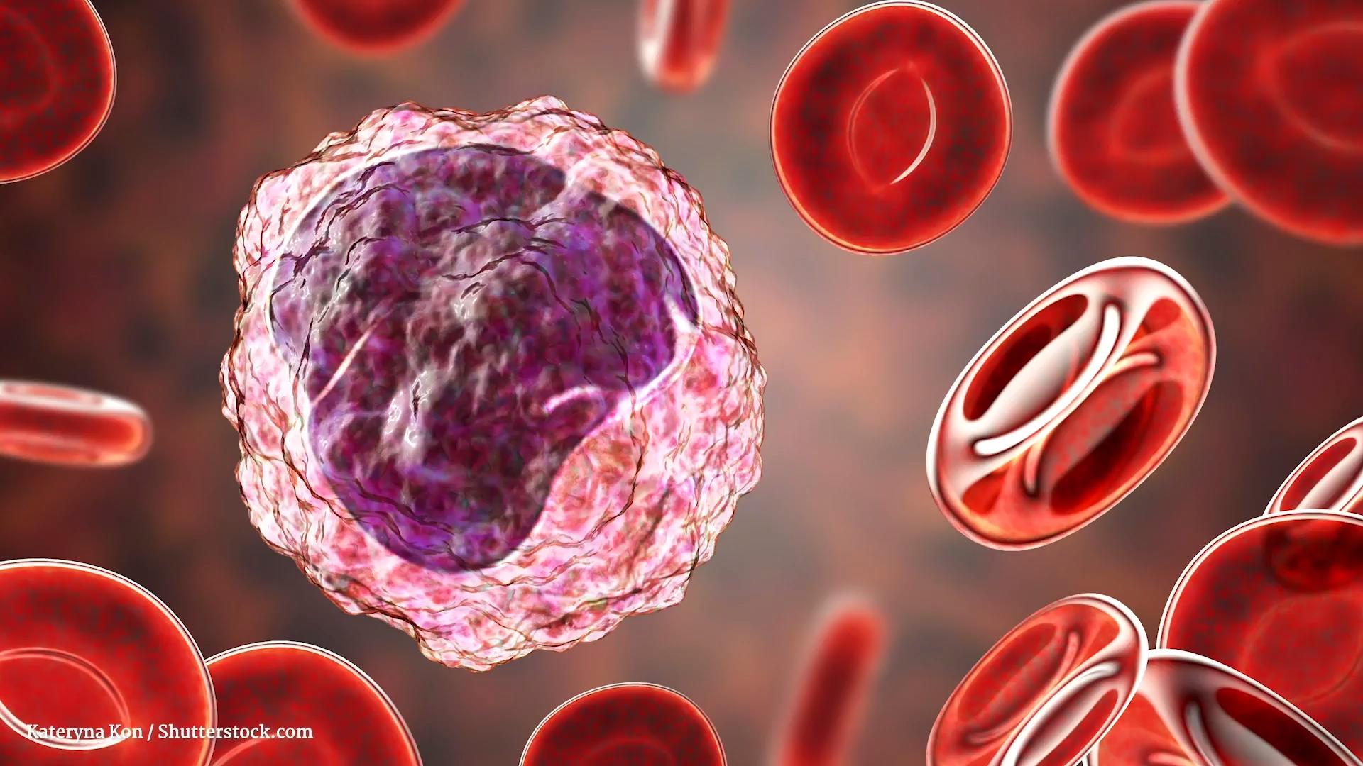 Monocytes: Cells That Eat Viruses Like Pac-Man