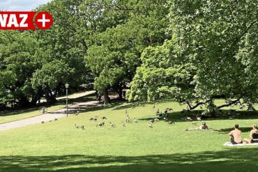 Canada Geese Siege Bochum: Is Hunting An Option?