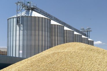Grain prices: sharp fall in prices after USDA report and Ukraine meeting