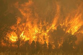 State of emergency extended: in Portugal "the whole country is on fire"