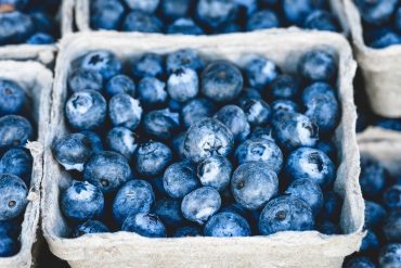 Freeze blueberries: This is how blueberries stay fresh