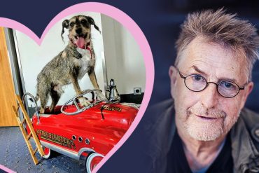 Martin Semmelrog mourns the dog Buddy.  Entertainment