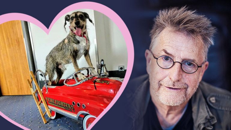Martin Semmelrog mourns the dog Buddy.  Entertainment