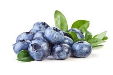Blueberries seem to reverse cognitive decline