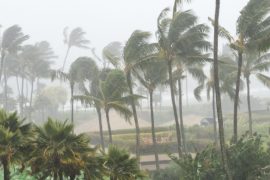Tropical Cyclones in Canada in September 2022: What Happened?