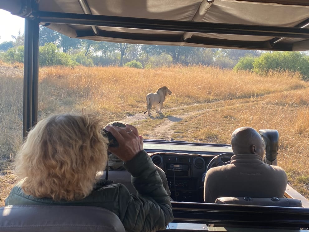 During the safari, Berg and his family saw lions, among other things
