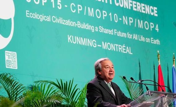 Biodiversity: "Peace with Nature" - World Summit on Nature begins in Canada