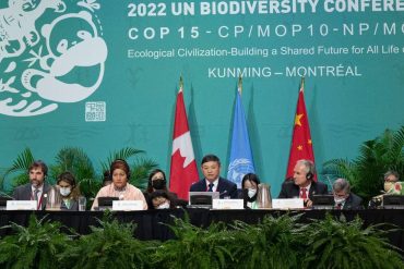 The World Conservation Summit in Canada is straight home