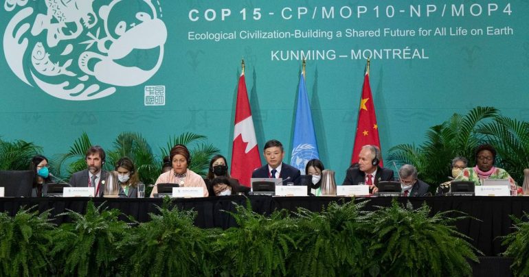 World Conservation Summit in Canada is on the home stretch